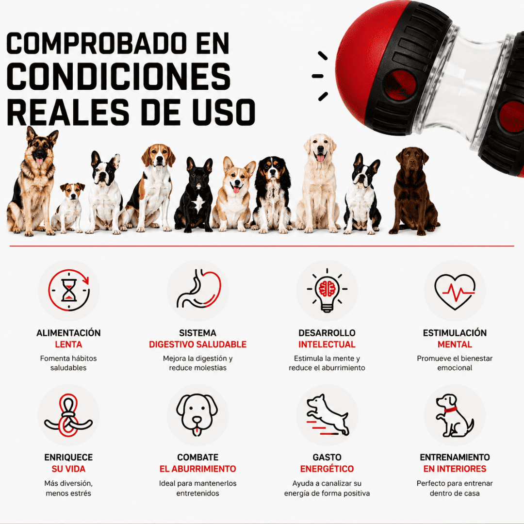 Rebel Roll™ | Juguete Interactivo